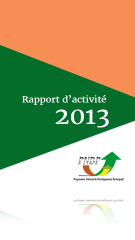 Rapport annuel des activités du PNDP Exercice 2013