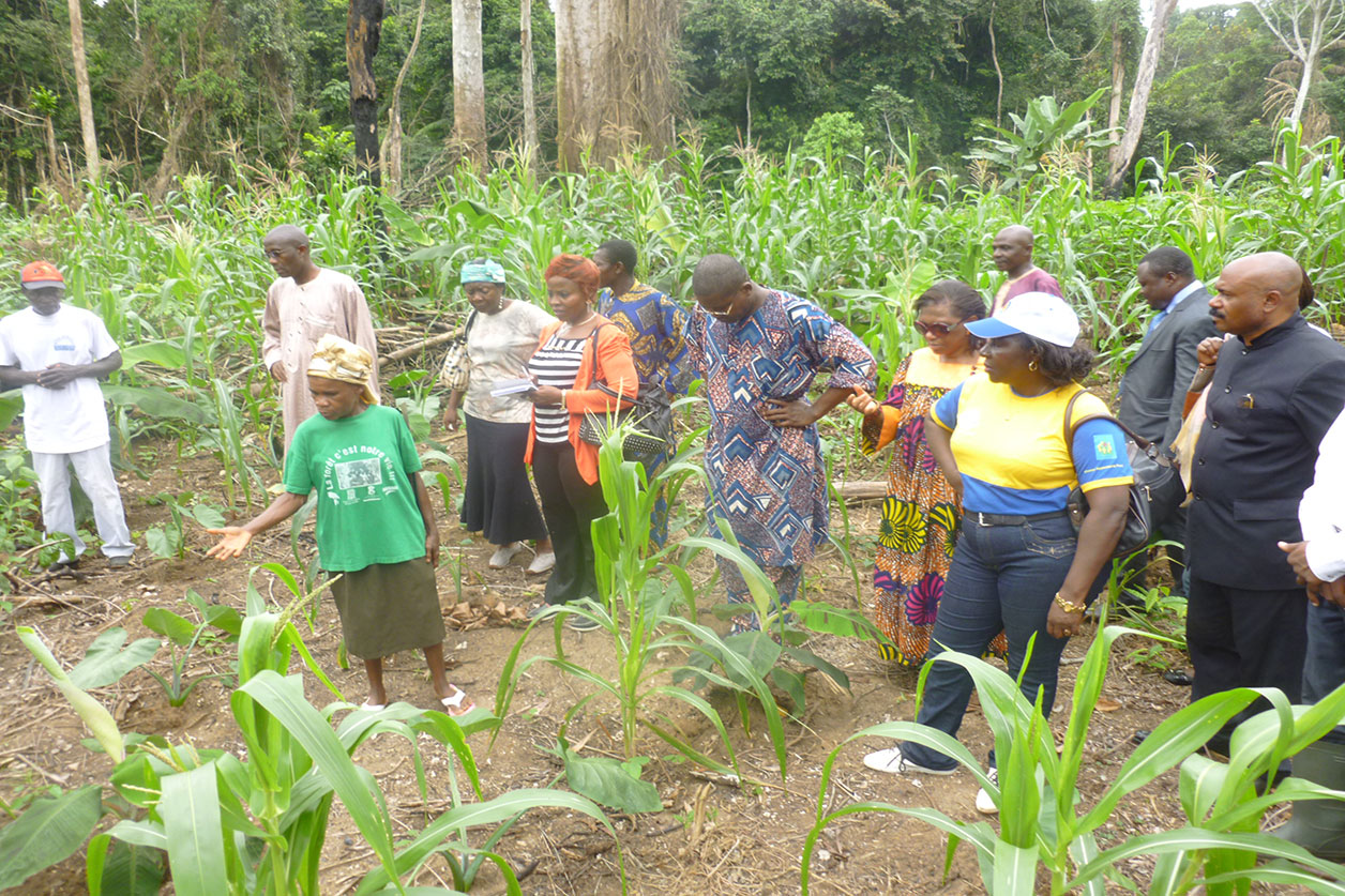 Développement des peuples pygmées : Visite de l’exploitation agricole des Bagyeli
