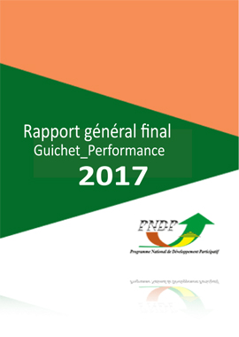 Rapport général final_guichet_performance, édition 2017